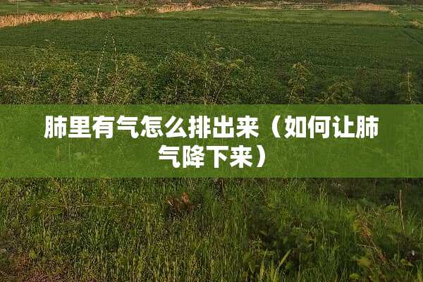 肺里有气怎么排出来（如何让肺气降下来）