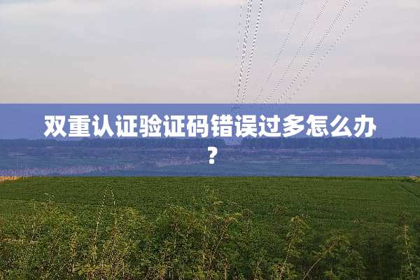 双重认证验证码错误过多怎么办？