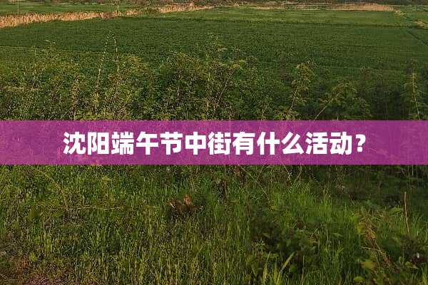 沈阳端午节中街有什么活动？