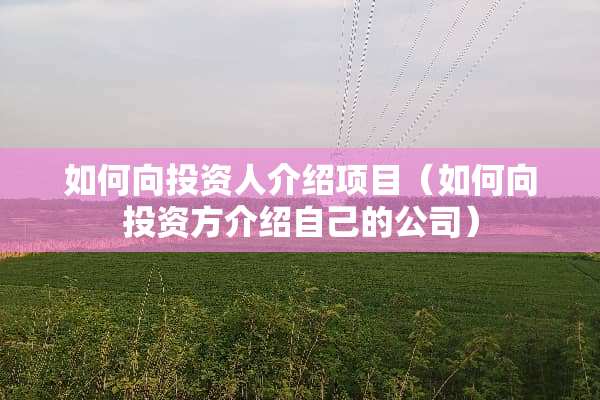 如何向投资人介绍项目（如何向投资方介绍自己的公司）