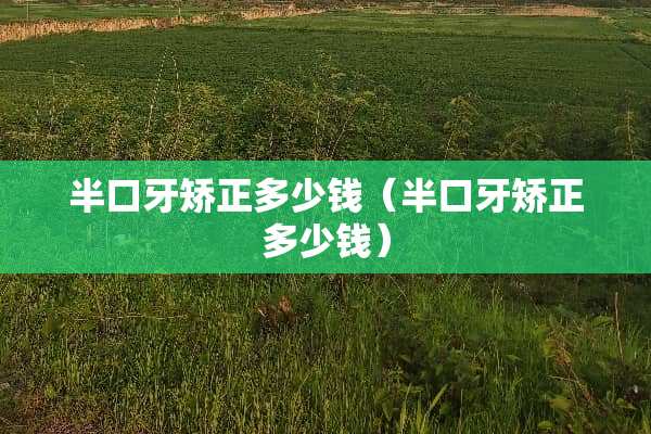 半口牙矫正多少钱（半口牙矫正多少钱）
