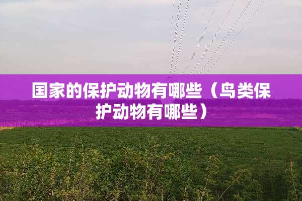 国家的保护动物有哪些（鸟类保护动物有哪些）