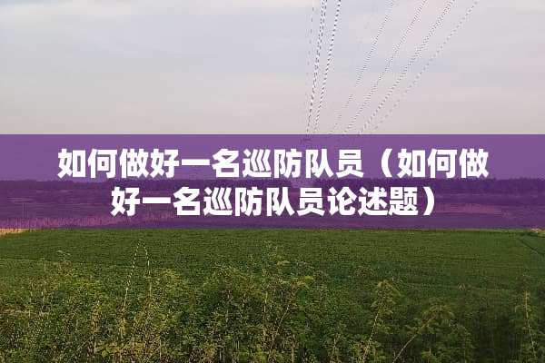 如何做好一名巡防队员（如何做好一名巡防队员论述题）