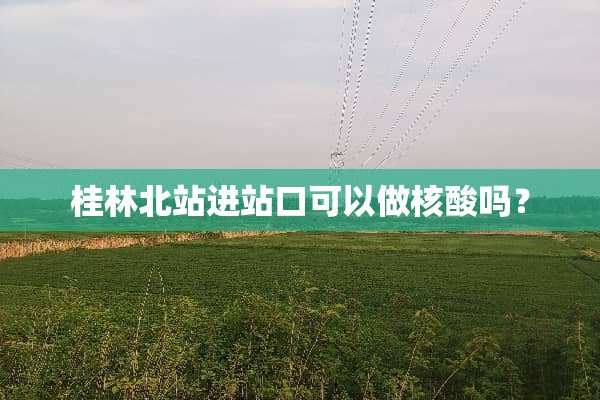 桂林北站进站口可以做核酸吗？