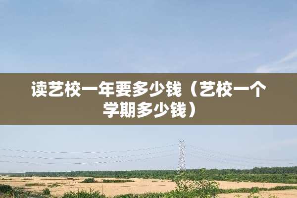 读艺校一年要多少钱（艺校一个学期多少钱）