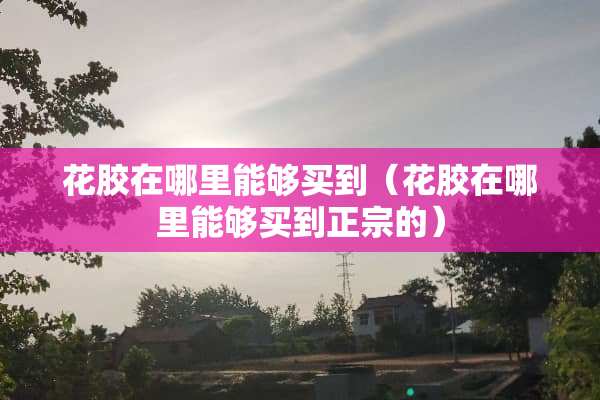 花胶在哪里能够买到（花胶在哪里能够买到正宗的）