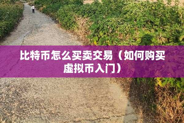比特币怎么买卖交易（如何购买虚拟币入门）