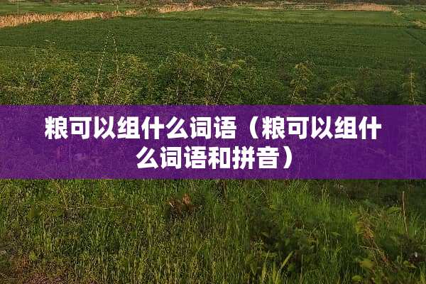 粮可以组什么词语（粮可以组什么词语和拼音）