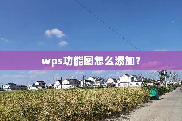 wps功能图怎么添加？