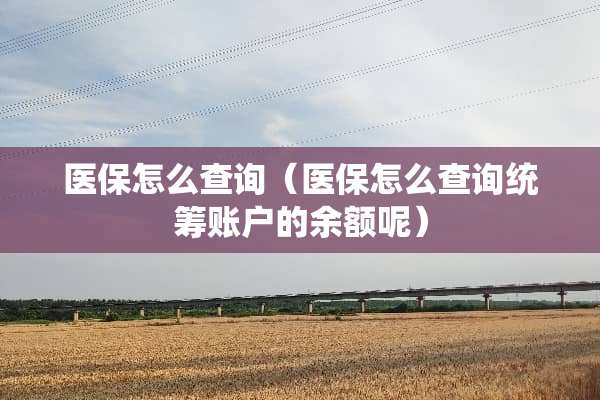 医保怎么查询（医保怎么查询统筹账户的余额呢）