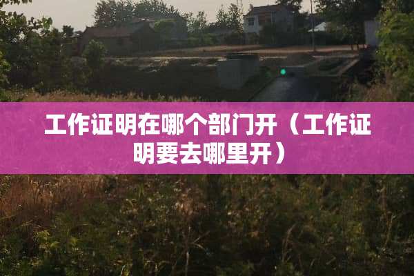 工作证明在哪个部门开（工作证明要去哪里开）