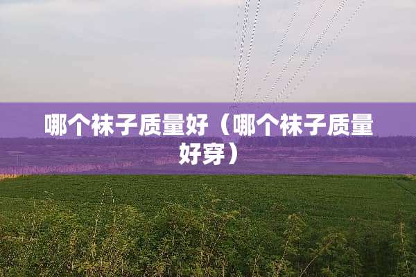 哪个袜子质量好（哪个袜子质量好穿）