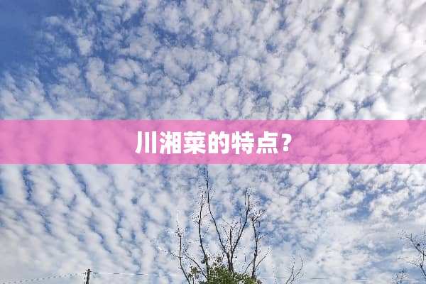 川湘菜的特点？