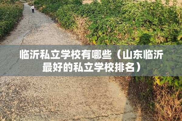 临沂私立学校有哪些（山东临沂最好的私立学校排名）