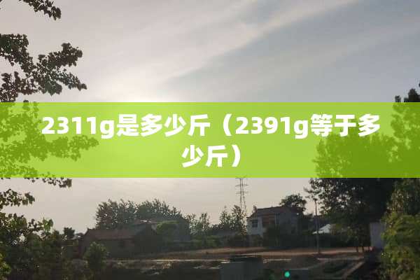 2311g是多少斤（2391g等于多少斤）