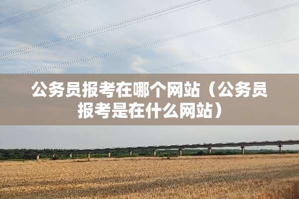 公务员报考在哪个网站（公务员报考是在什么网站）