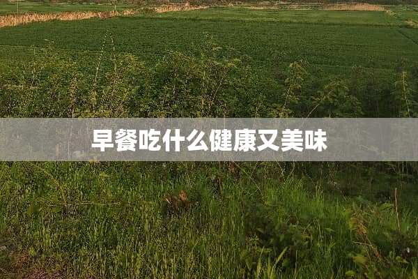 早餐吃什么健康又美味