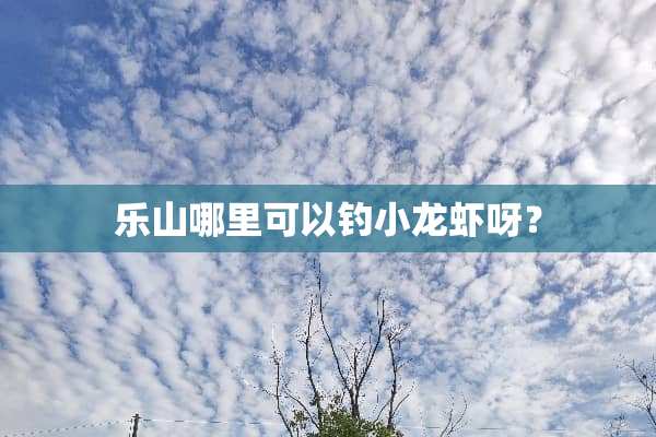 乐山哪里可以钓小龙虾呀？