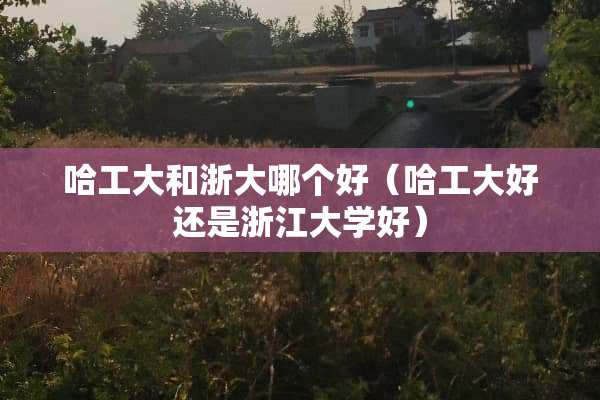 哈工大和浙大哪个好（哈工大好还是浙江大学好）