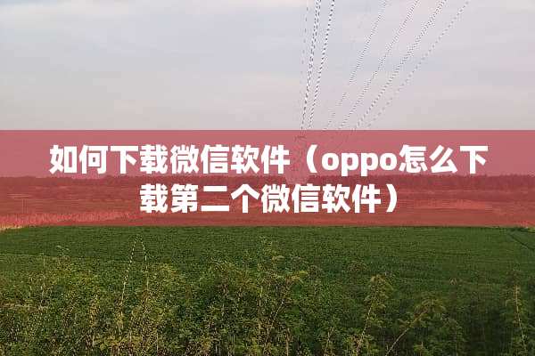 如何下载微信软件（oppo怎么下载第二个微信软件）