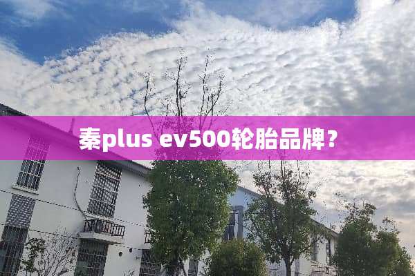 秦plus ev500轮胎品牌？