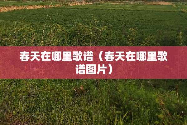 春天在哪里歌谱（春天在哪里歌谱图片）