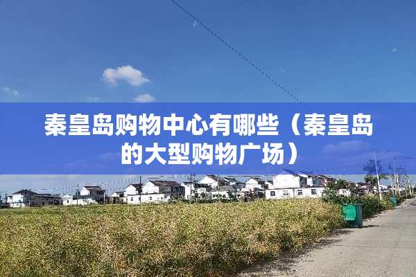 秦皇岛购物中心有哪些（秦皇岛的大型购物广场）
