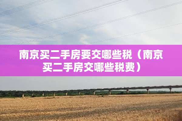 南京买二手房要交哪些税（南京买二手房交哪些税费）