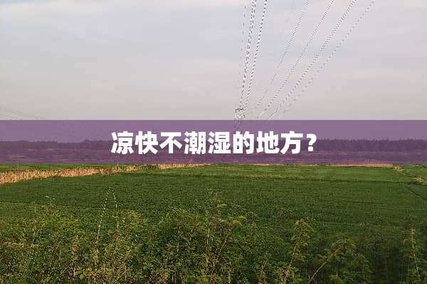 凉快不潮湿的地方？
