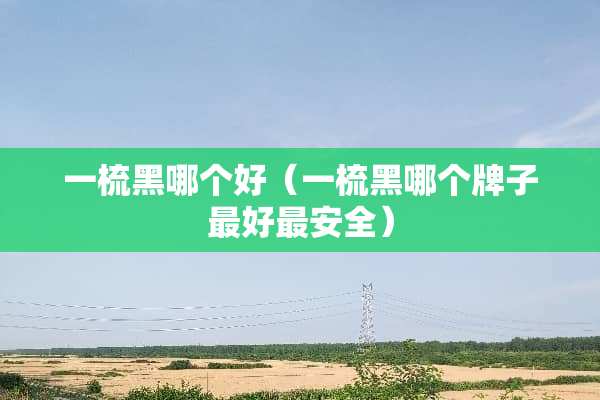 一梳黑哪个好（一梳黑哪个牌子最好最安全）