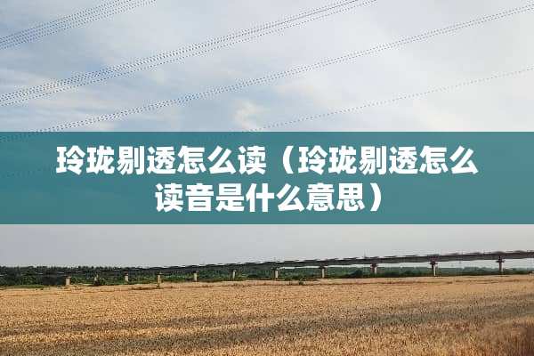 玲珑剔透怎么读（玲珑剔透怎么读音是什么意思）