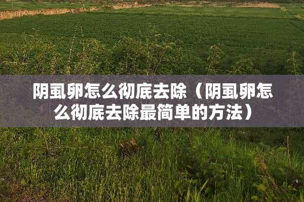 阴虱卵怎么彻底去除（阴虱卵怎么彻底去除最简单的方法）