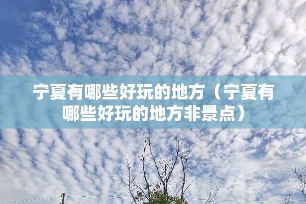 宁夏有哪些好玩的地方（宁夏有哪些好玩的地方非景点）