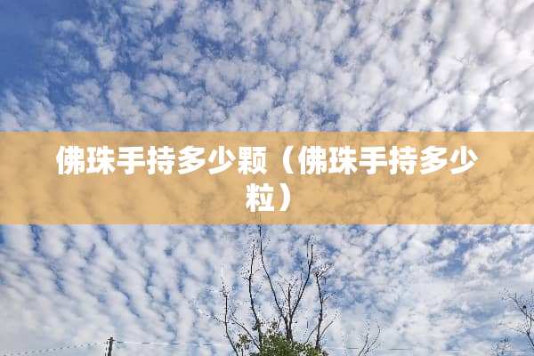 佛珠手持多少颗（佛珠手持多少粒）
