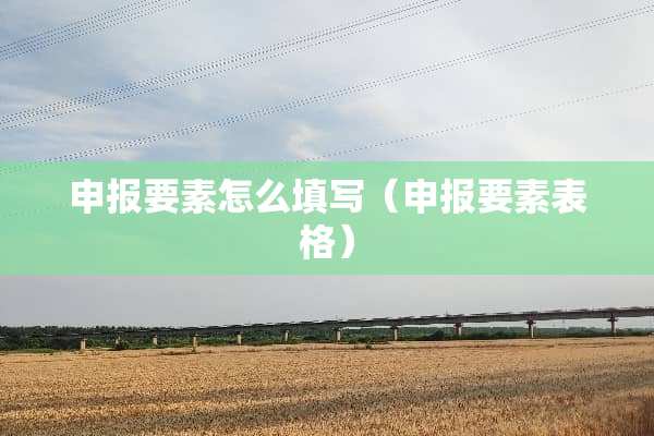 申报要素怎么填写（申报要素表格）
