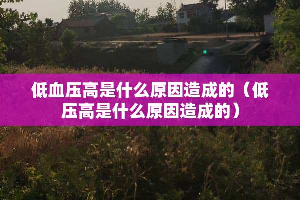 低血压高是什么原因造成的（低压高是什么原因造成的）