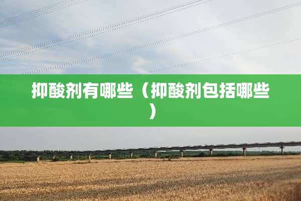 抑酸剂有哪些（抑酸剂包括哪些）