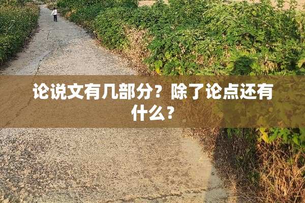 论说文有几部分？除了论点还有什么？