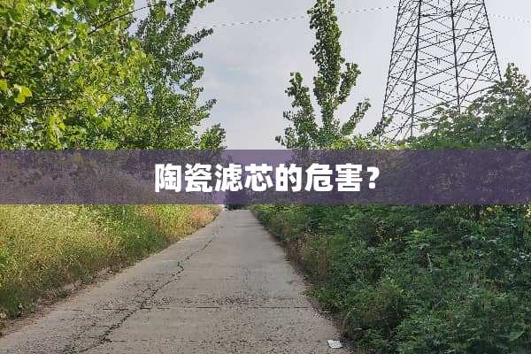 陶瓷滤芯的危害？
