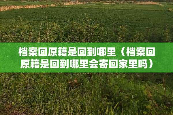 档案回原籍是回到哪里（档案回原籍是回到哪里会寄回家里吗）