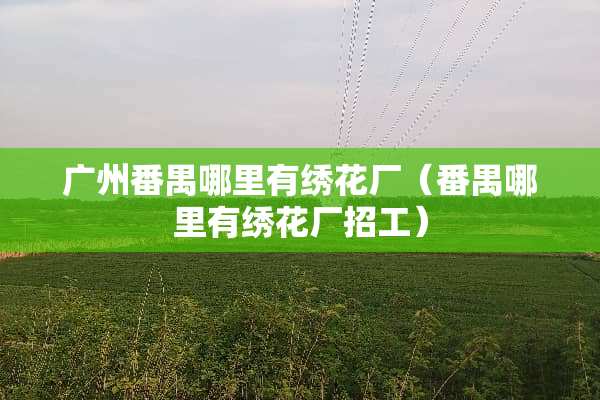 广州番禺哪里有绣花厂（番禺哪里有绣花厂招工）