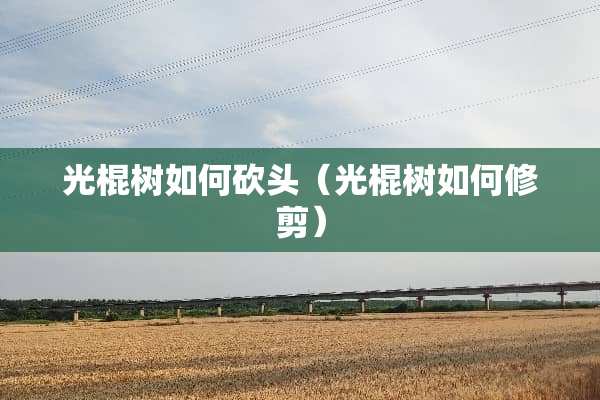 光棍树如何砍头（光棍树如何修剪）