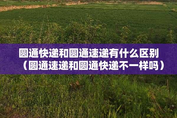 圆通快递和圆通速递有什么区别（圆通速递和圆通快递不一样吗）