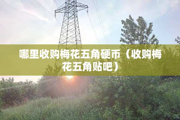 哪里收购梅花五角**（收购梅花五角贴吧）