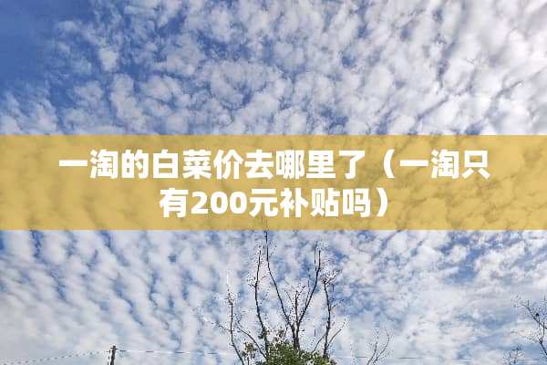 一淘的白菜价去哪里了（一淘只有200元补贴吗）