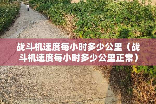 战斗机速度每小时多少公里（战斗机速度每小时多少公里正常）