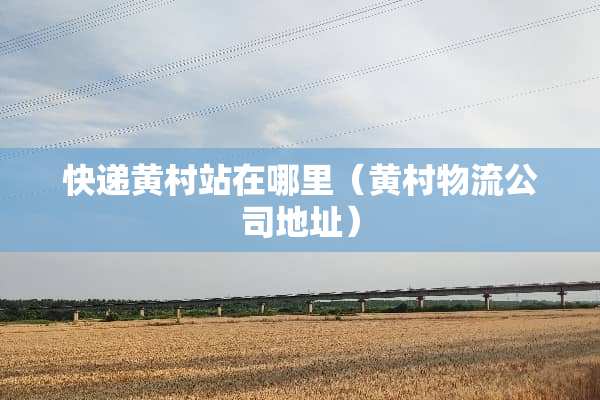 快递黄村站在哪里（黄村物流公司地址）