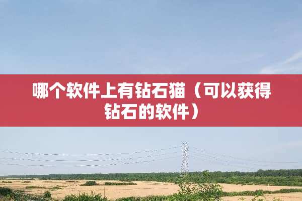 哪个软件上有钻石猫（可以获得钻石的软件）