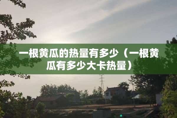 一根黄瓜的热量有多少（一根黄瓜有多少大卡热量）