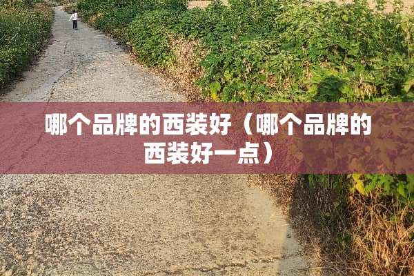 哪个品牌的西装好（哪个品牌的西装好一点）